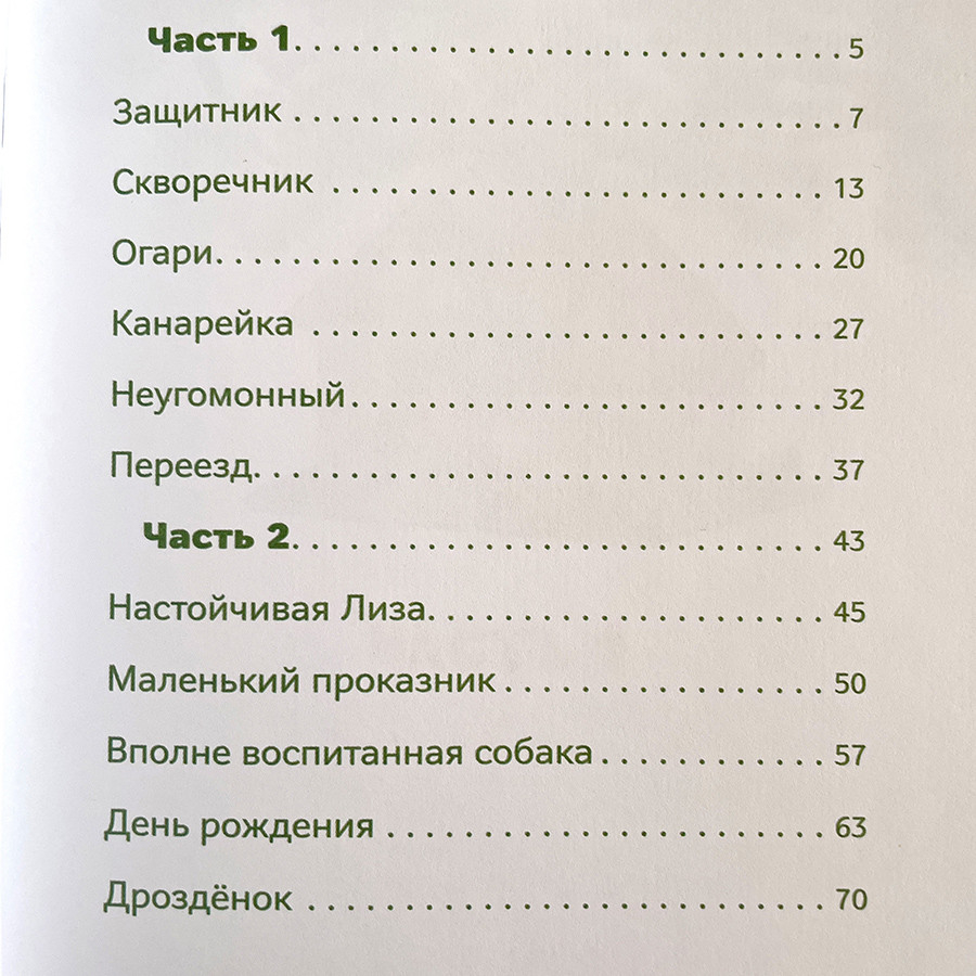 ЗВЕРУШКИ В КОРМУШКЕ. Наталья Лысенко 