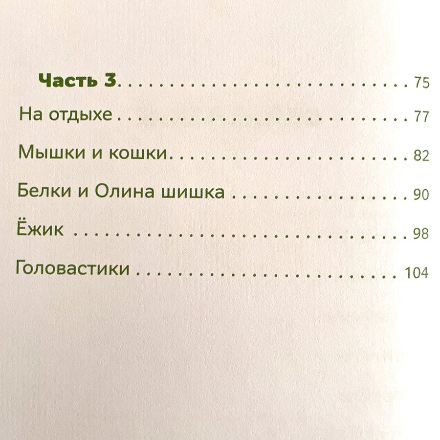 ЗВЕРУШКИ В КОРМУШКЕ. Наталья Лысенко 