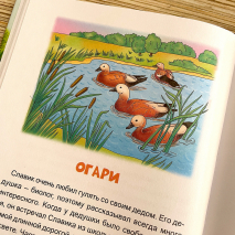 ЗВЕРУШКИ В КОРМУШКЕ. Наталья Лысенко 