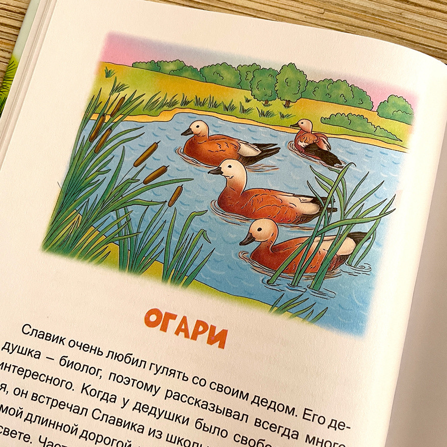 ЗВЕРУШКИ В КОРМУШКЕ. Наталья Лысенко 