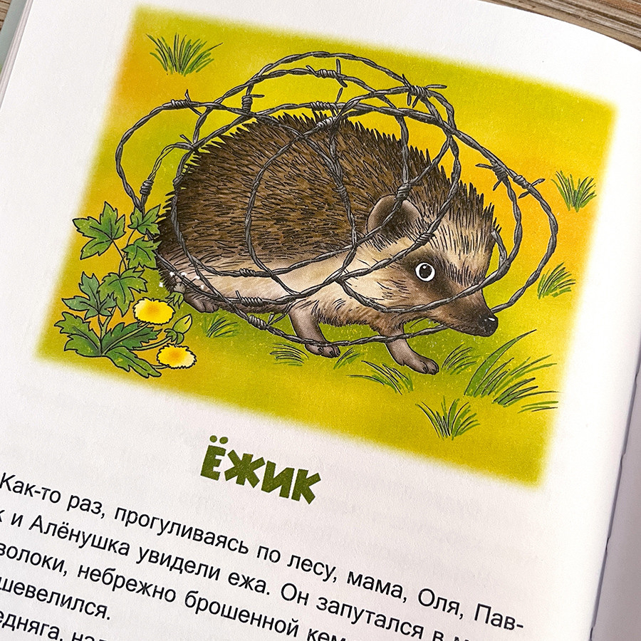 ЗВЕРУШКИ В КОРМУШКЕ. Наталья Лысенко 