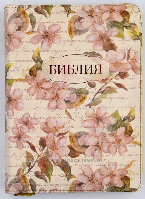 Библия Купить Книгу Спб