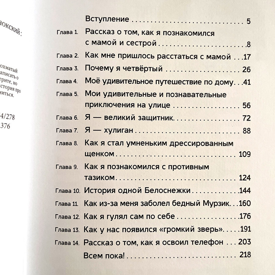 ЗАПИСКИ ЛОХМАТОГО ЩЕНКА. Светлана Крутова 