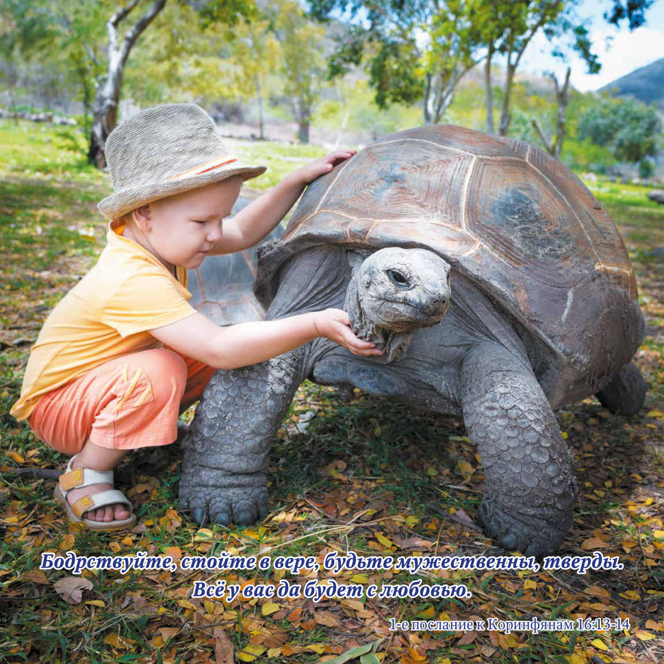 Перекидной календарь на 2026 год: Детский