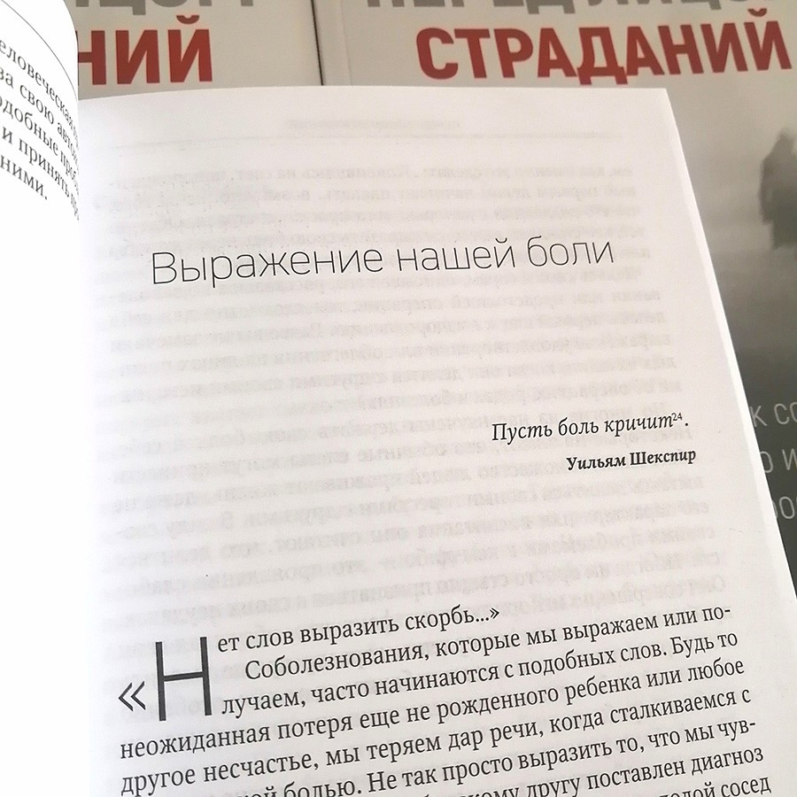 Уценка! ПЕРЕД ЛИЦОМ СТРАДАНИЙ. Роберто Баденас 