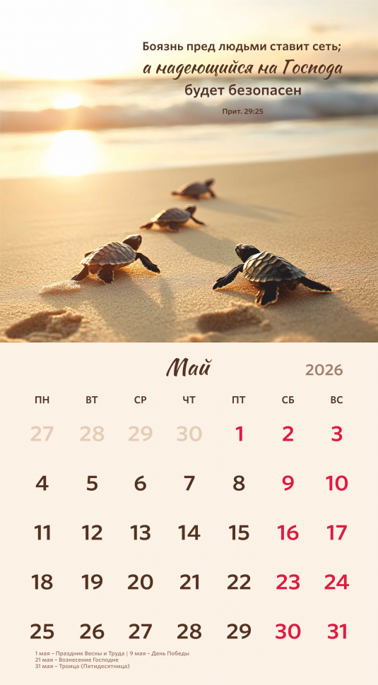 Перекидной календарь 2026: Библейская мудрость /Акварель/
