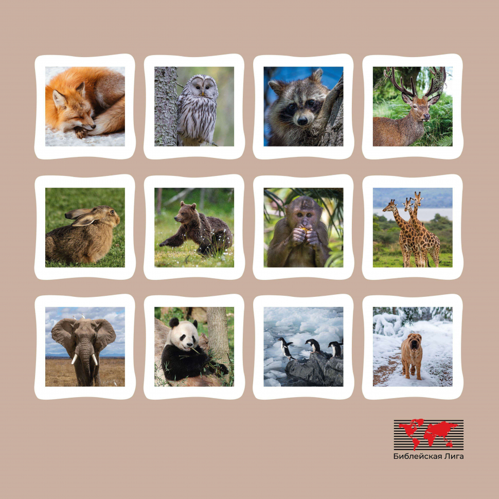 Перекидной календарь 2026: Забавные животные (детский) /Библейская лига/