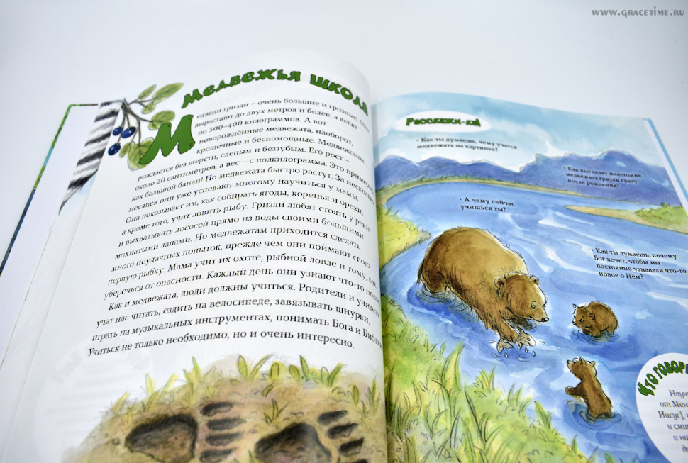 БОЛЬШАЯ КНИГА МАЛЕНЬКИХ ИСТОРИЙ О БОЖЬЕМ ТВОРЕНИИ. Памелла Кеннеди