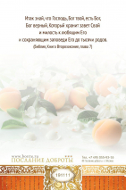 Открытка одинарная 10x15: С Днем рождения!
