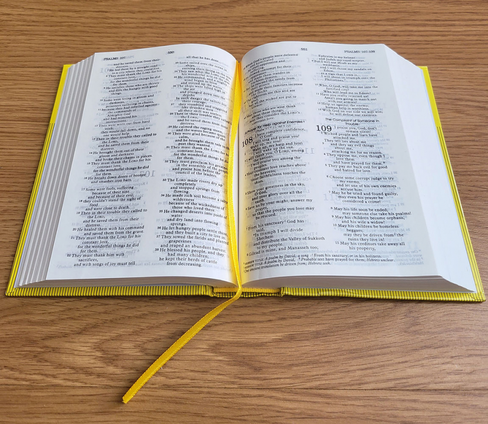 GOOD NEWS BIBLE. Today&#039;s English Version. Библия на английском языке c неканоническими книгами. Большой формат. Словарь, карты, закладка /220x150/