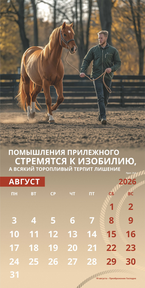 Перекидной календарь 2026: Достигая цели (мужской) /Акварель/