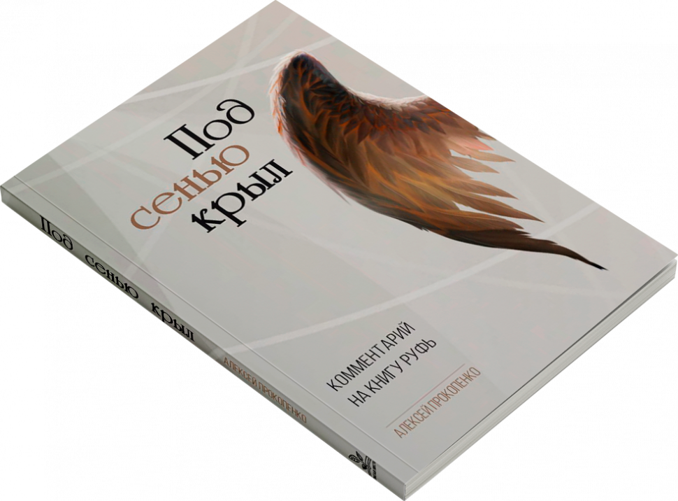 ПОД СЕНЬЮ КРЫЛ. Комментарий на книгу Руфь. Алексей Прокопенко /новое издание/