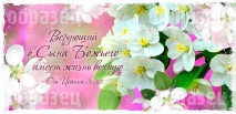 Кружка &quot;ВЕРУЮЩИЙ В СЫНА БОЖЬЕГО&quot; /розовая/