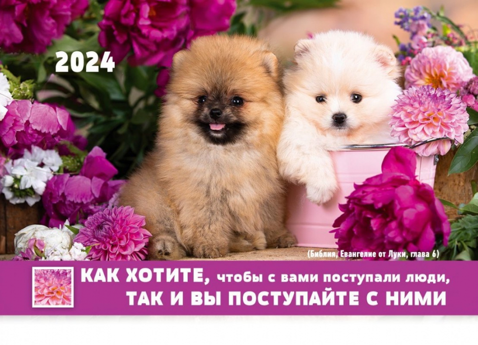 Карманный календарь 2024: Золотое правило жизни