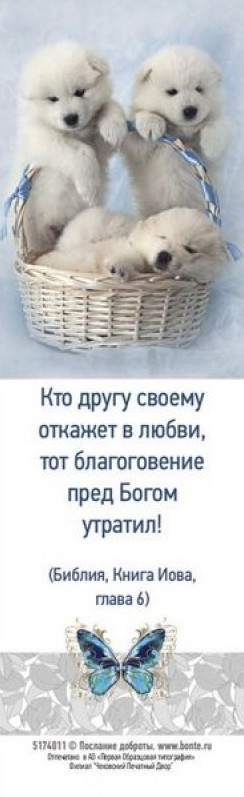 Закладка одинарная 4x16: Кто другу своему откажет в любви