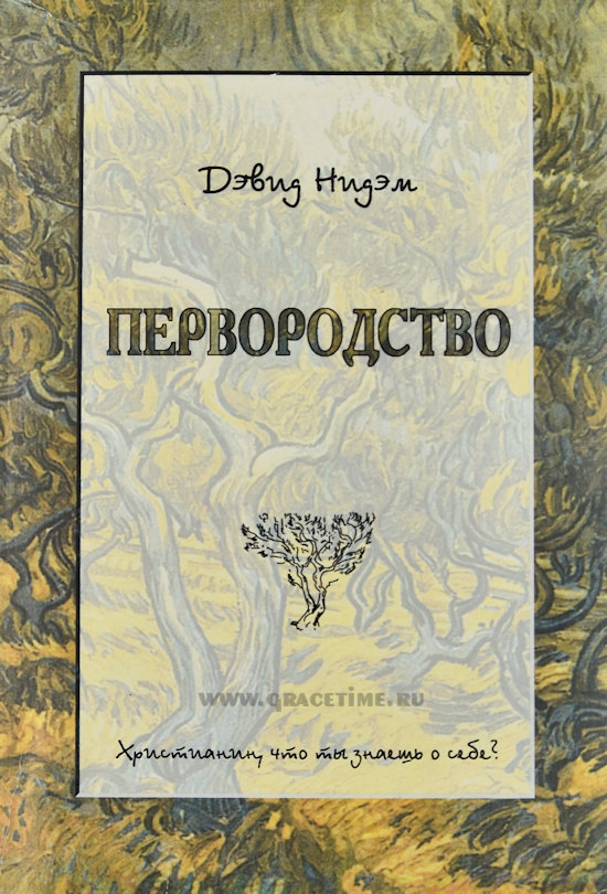 Уценка! ПЕРВОРОДСТВО. Христианин, что ты знаешь о себе? Дэвид Нидэм