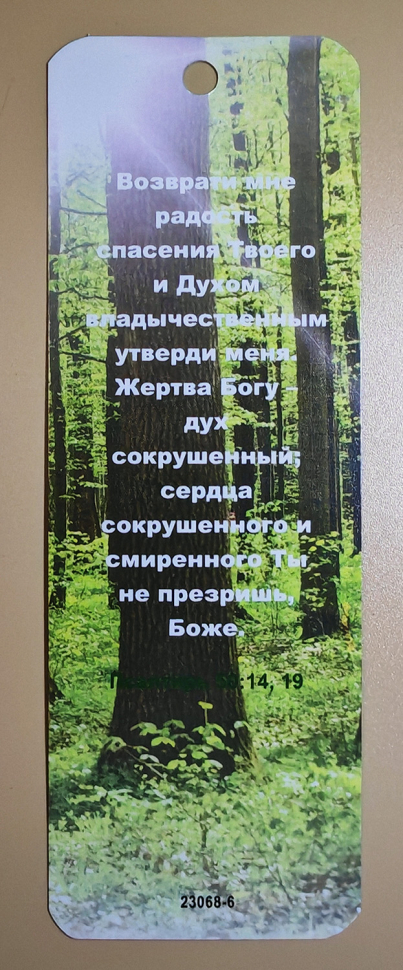 Закладка двусторонняя «Возврати мне радость спасения» /лес/