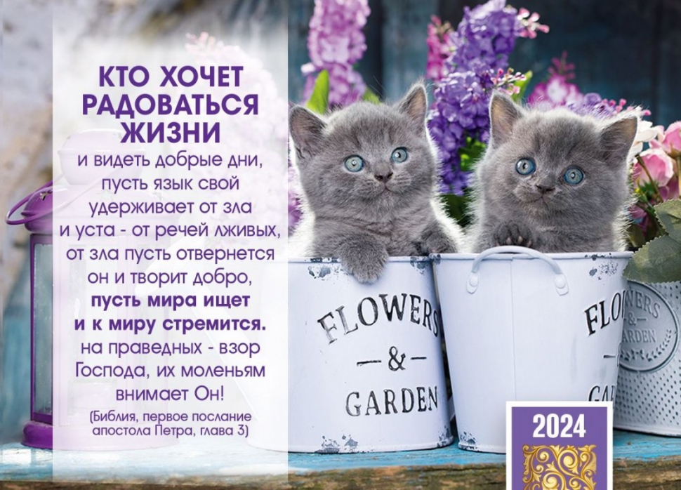 Карманный календарь 2024: Кто хочет радоваться жизни