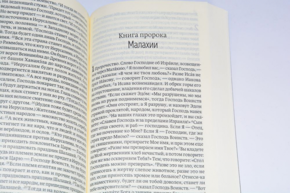 Уценка! БИБЛИЯ 041 Y Бордовый (синий). Современный русский перевод /85х185/