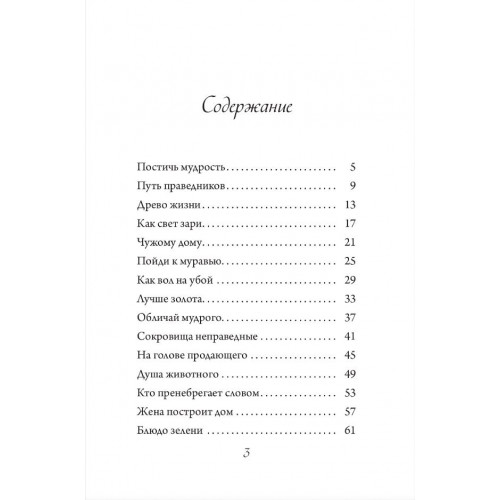 ЛУЧШЕ ЗОЛОТА. Мысли о главном, навеянные книгой Притч. Игорь Райхельгауз
