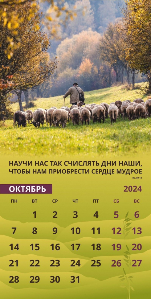 Уценка! Перекидной календарь 2024: Достигая цели (мужской)