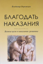 Уценка! БЛАГОДАТЬ НАКАЗАНИЯ. Божии цели в наказании грешника. Владимир Ворожцов