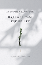 Уценка! НАДЕЖДА ТАМ, ГДЕ ЕЕ НЕТ. Александр Валуйский
