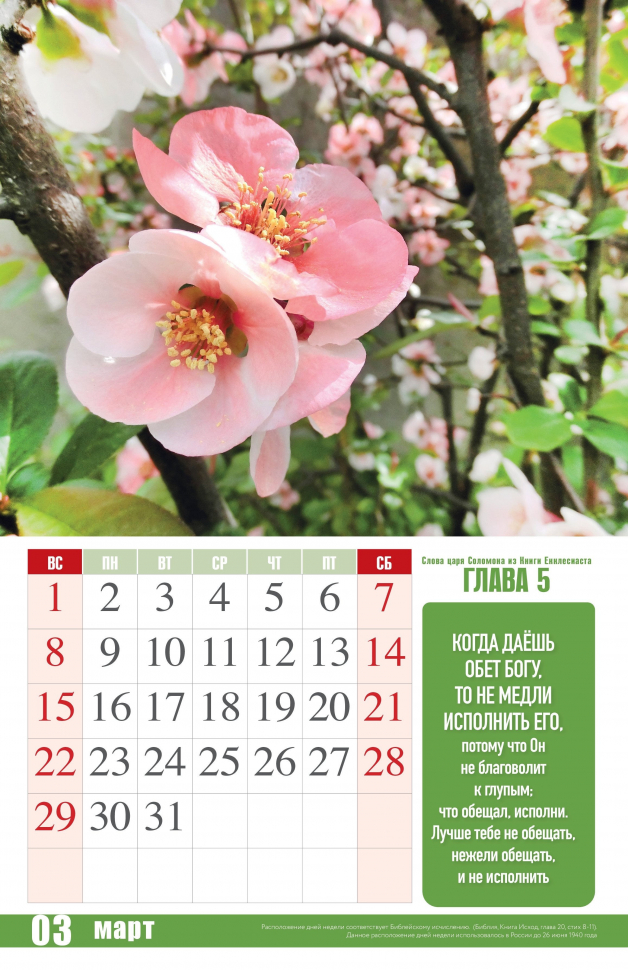 Перекидной календарь 2026: Притчи Царя Соломона