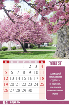 Перекидной календарь 2026: Притчи Царя Соломона