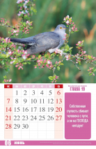 Перекидной календарь 2026: Притчи Царя Соломона