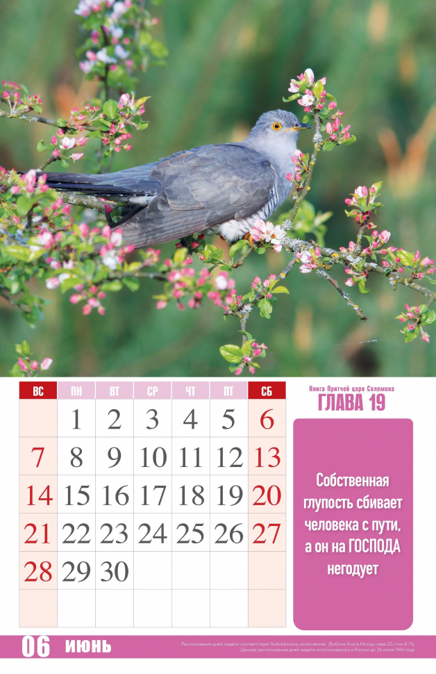 Перекидной календарь 2026: Притчи Царя Соломона