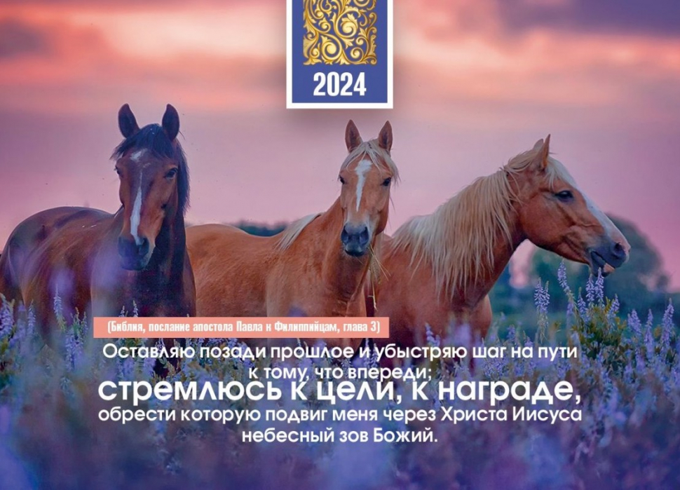 Карманный календарь 2024: Стремлюсь к цели