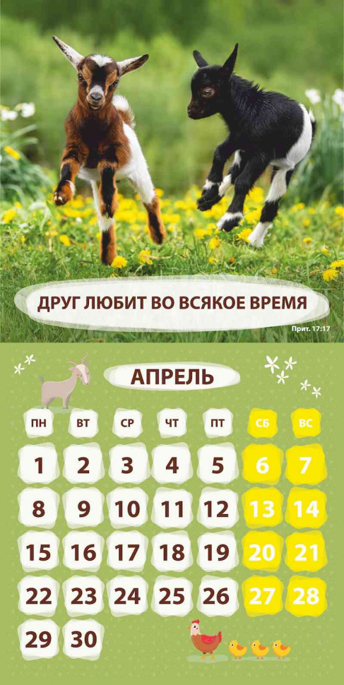 Уценка! Перекидной календарь 2024: Забавные животные (детский)