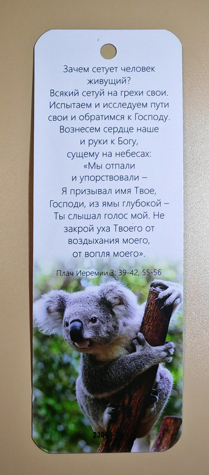 Закладка двусторонняя «Зачем сетует человек живущий» /коала/