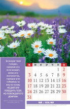 Перекидной календарь 2026: Золотые стихи Библии