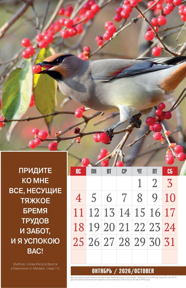 Перекидной календарь 2026: Золотые стихи Библии