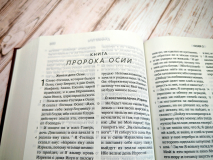 БИБЛИЯ КАНОНИЧЕСКАЯ. Бордовый цвет, твердый переплет, синодальный перевод, крупный шрифт /210х145/