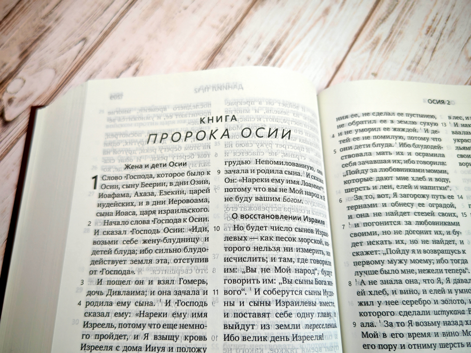 БИБЛИЯ КАНОНИЧЕСКАЯ. Бордовый цвет, твердый переплет, синодальный перевод, крупный шрифт /210х145/