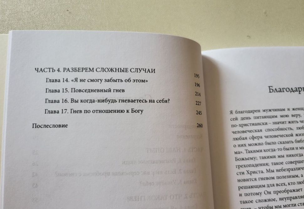 ПРАВЕДНЫЙ ГНЕВ. Избавление от гнева, раздражения, жалоб и горчи. Давид Паулисон /новое издание/