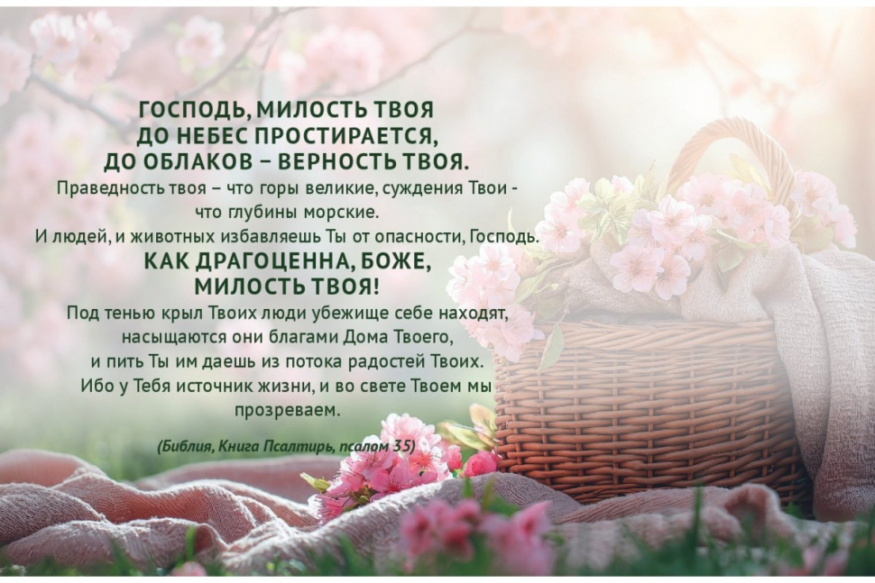 Настольный календарь 2025: Псалмы радости /домик/