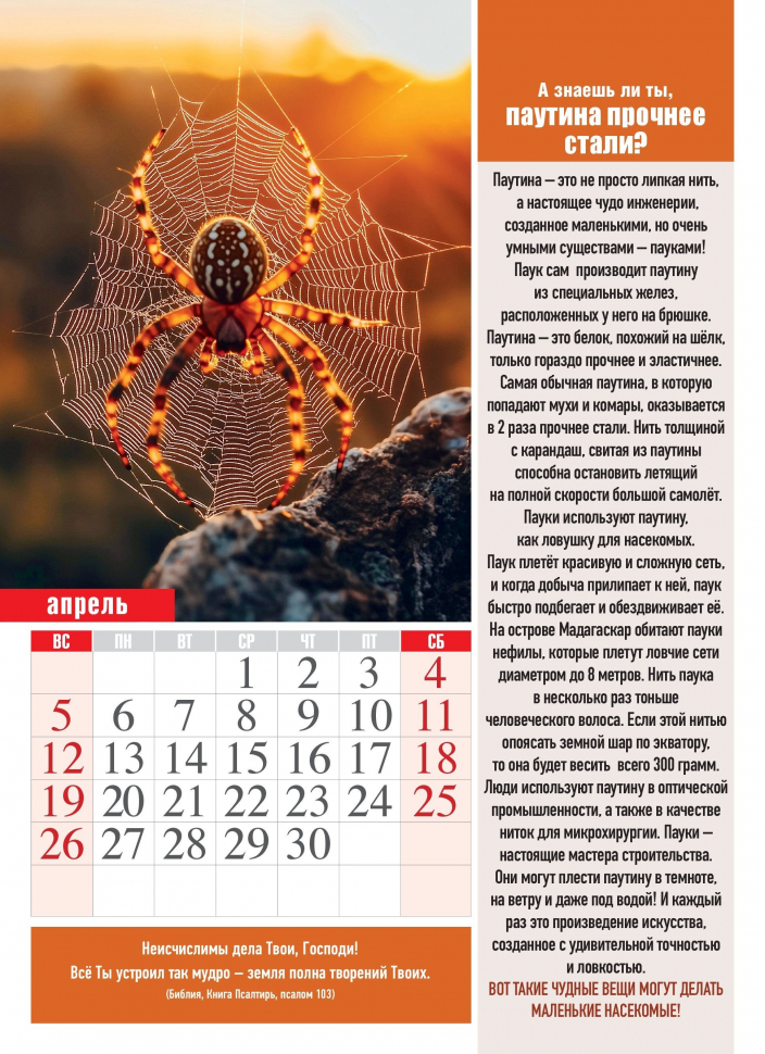 Перекидной календарь 2026: Хочу все знать /календарь для почемучек/