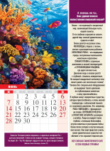 Перекидной календарь 2026: Хочу все знать /календарь для почемучек/