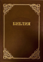 БИБЛИЯ 087 TI Коричневый, золотая рамка, тв. переплет, кожа, индексы, в футляре /250х300/