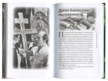 «САШИНА ФИЛОСОФИЯ» И ДРУГИЕ РАССКАЗЫ. Алексий Лисняк