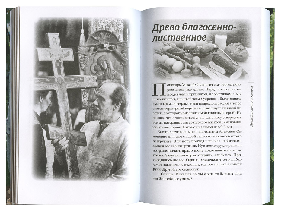 «САШИНА ФИЛОСОФИЯ» И ДРУГИЕ РАССКАЗЫ. Алексий Лисняк