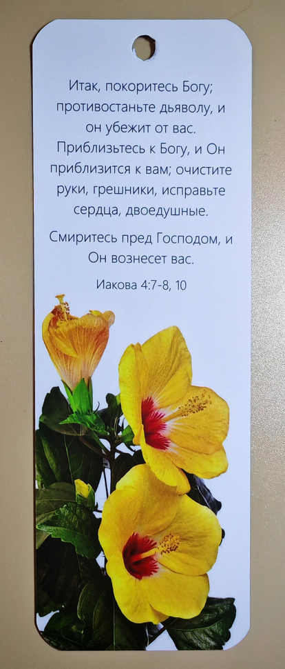 Закладка двусторонняя «Итак, покоритесь Богу» /гибискус/