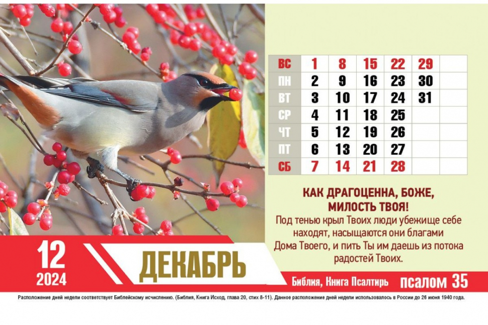 Уценка! Настольный календарь 2024: Псалмы радости /домик/
