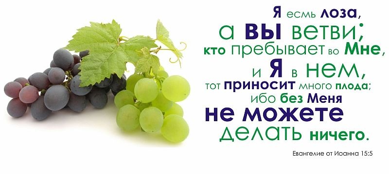 Кружка &quot;Я ЕСМЬ ЛОЗА, А ВЫ ВЕТВИ...&quot;