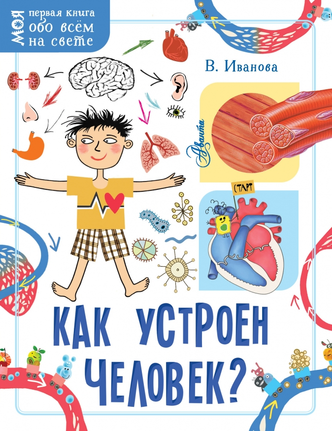 Уценка! КАК УСТРОЕН ЧЕЛОВЕК? Иванова Вера