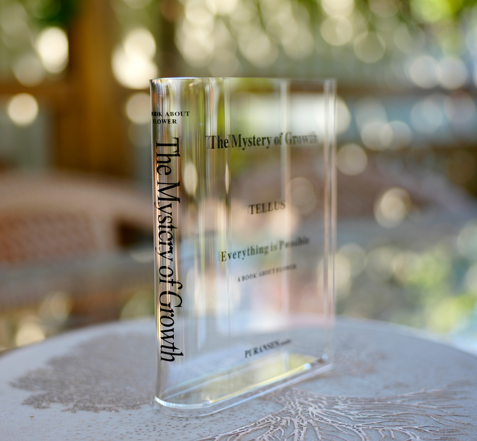 Ваза-книга для цветов /прозрачный/